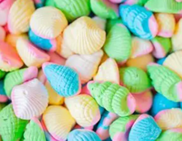 Vidal Foam Shells