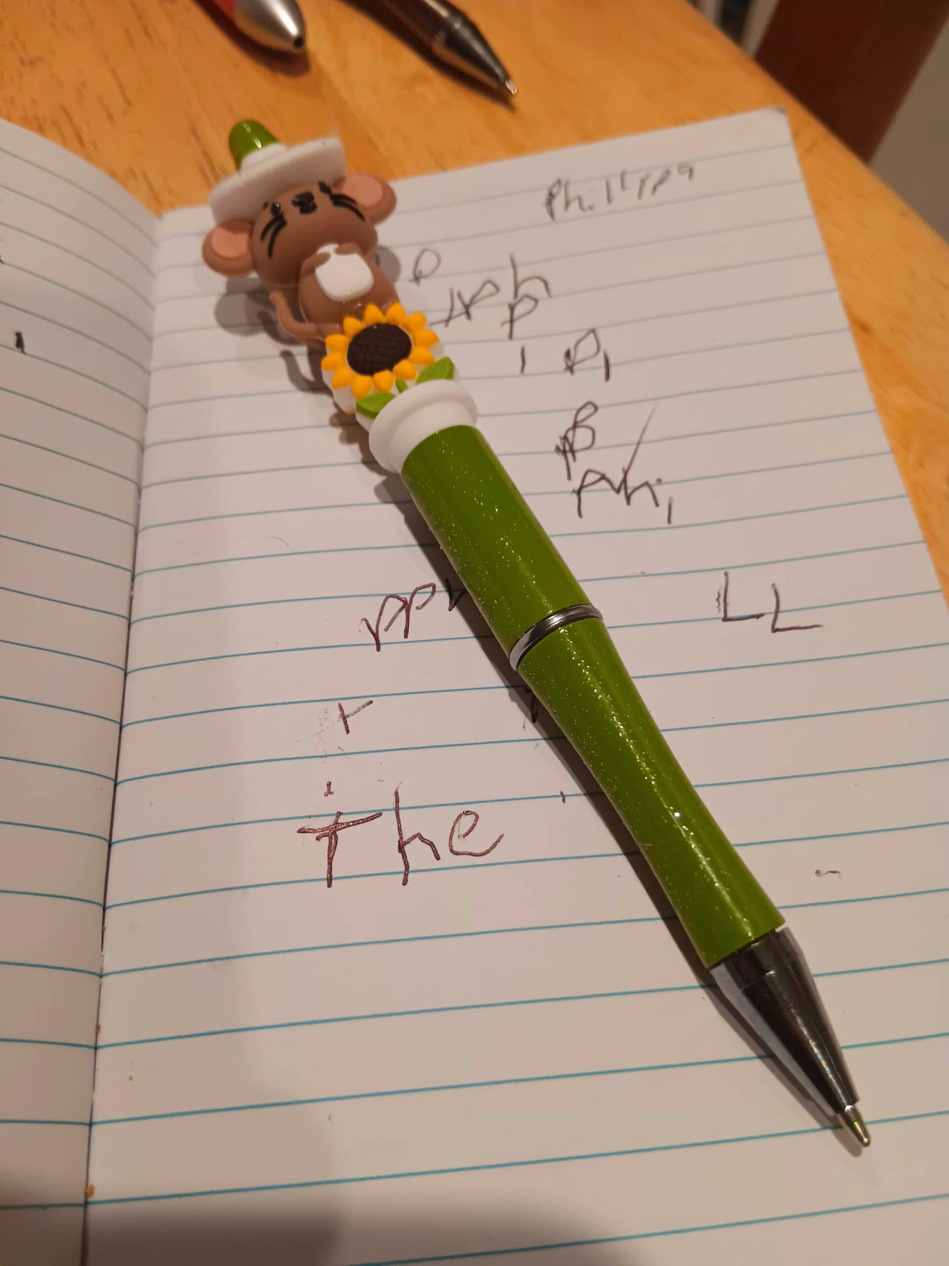 Beaded pens