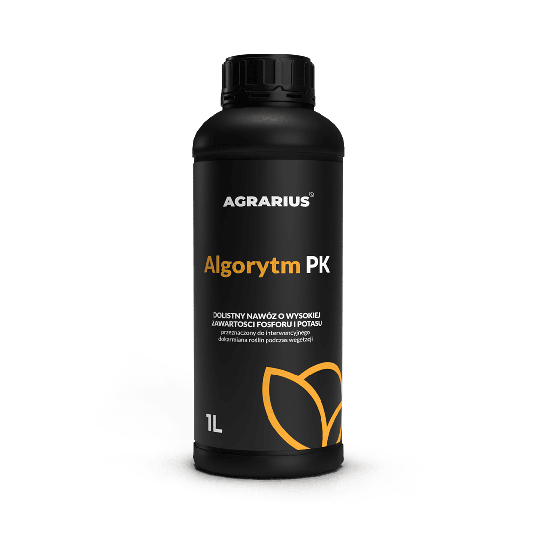 ALGORYTM PK