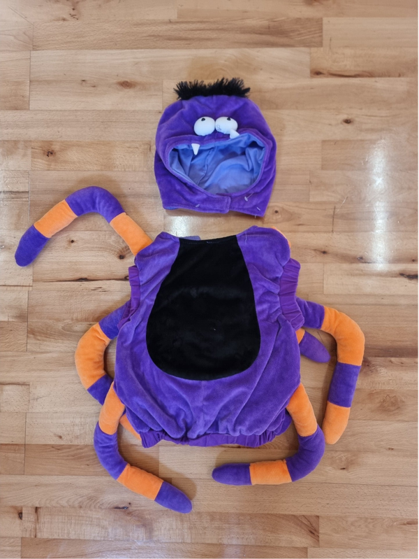 Spider Costume with mask (one size)