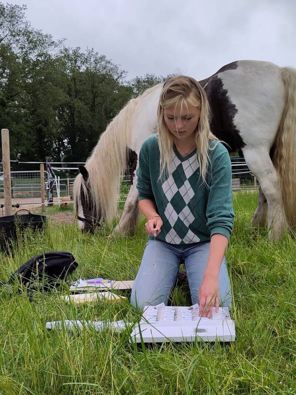 kruiden- of voermeting met de biotensor