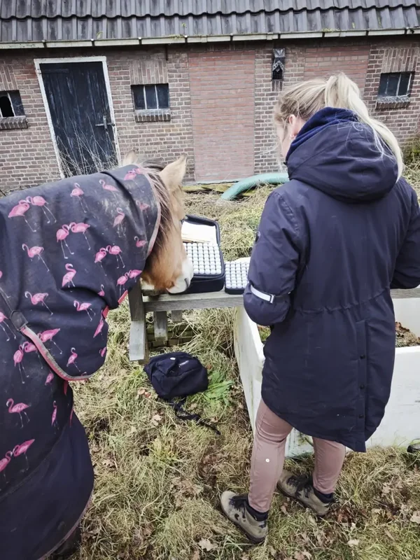 Het Voer & Vitaliteit Traject
