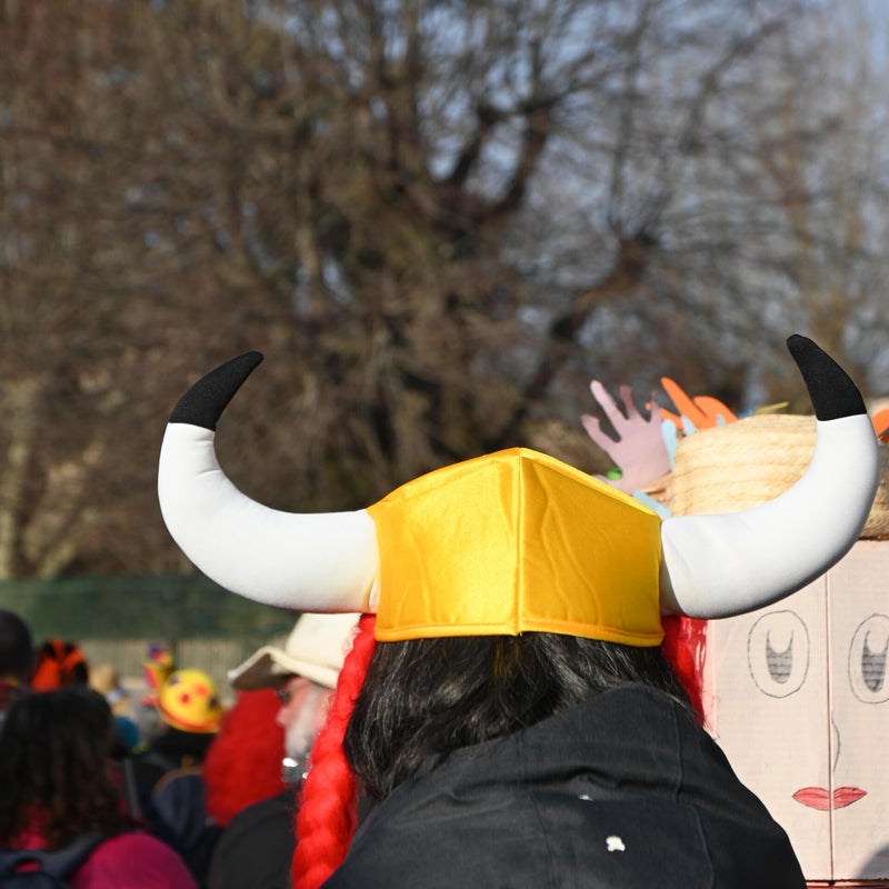 dsc_1435-standard.jpg