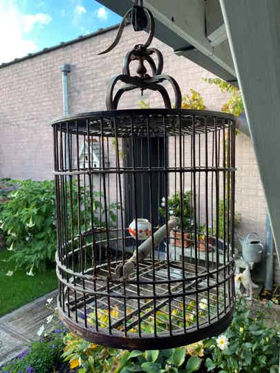 Oude vogelkooi