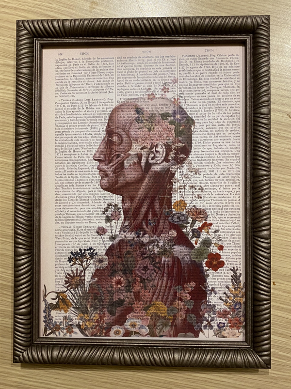 Kader “Anatomie met bloemen “