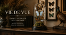 Vie de Vue