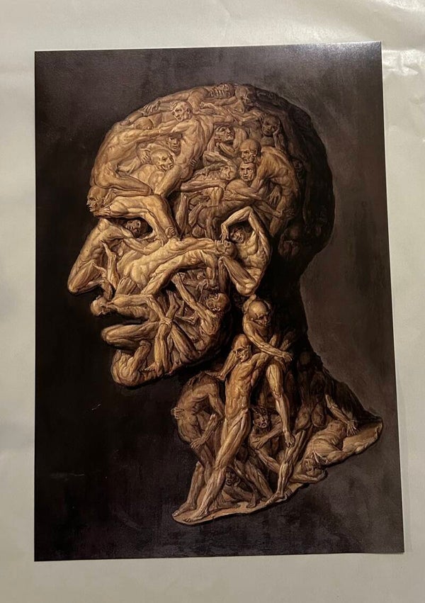 A3 kader "Testa Anatomica"