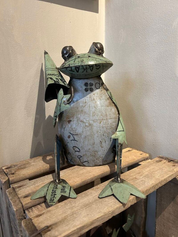 Metalen figuur Kikker