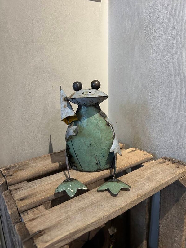 Metalen figuur kikker