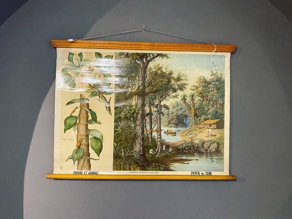 schoolkaart Peper en gom