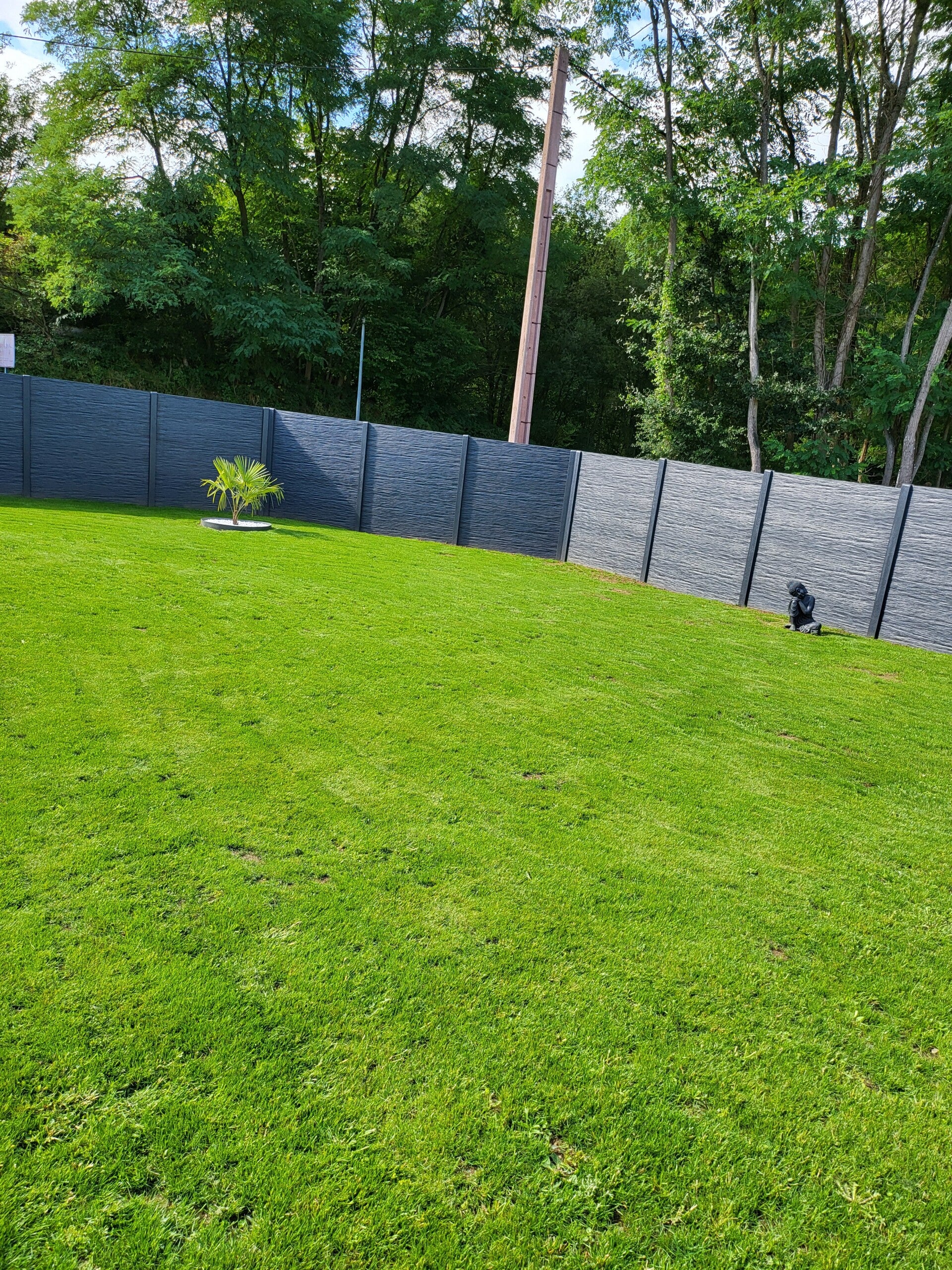 20240825_171425-standard.jpg