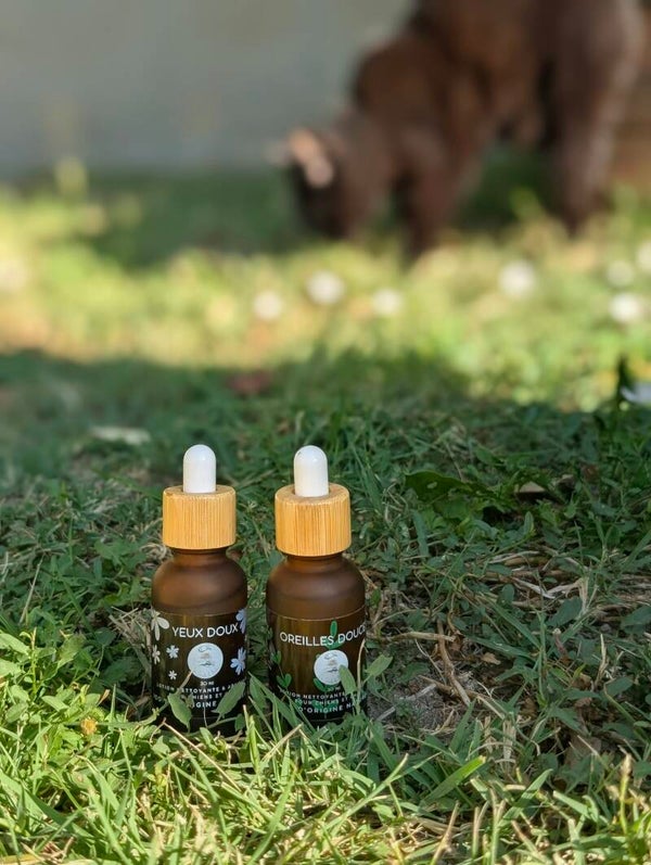 Lotion Oreilles Chien & Chat
