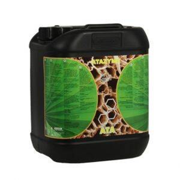 B´CUZZ Atazym, 5 L.