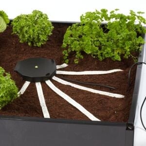 Autopot Aquabox Spyder