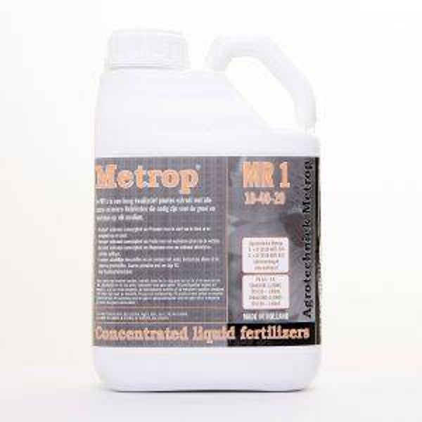 Metrop MR1, 5L (Wachstumsphase