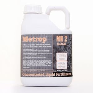 Metrop MR2, 5L (Blütephase)