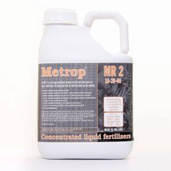 Metrop MR2, 5L (Blütephase)