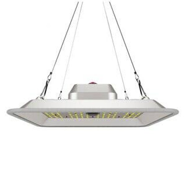 Greenception GC-Pure 80W