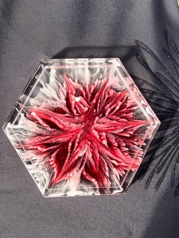 Vide poche hexagonale