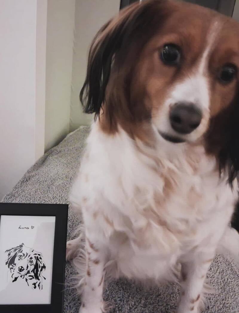 luna-tekening-standard.jpg