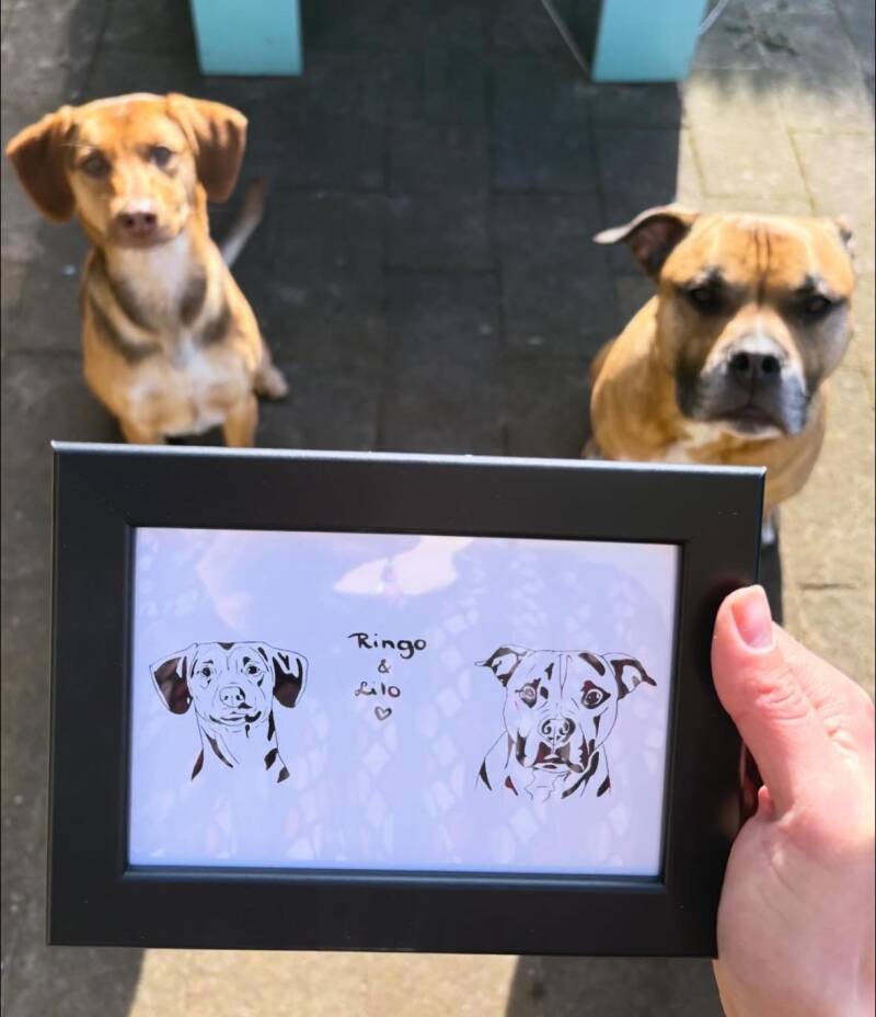 ringo-en-lilo-tekening-standard.jpg