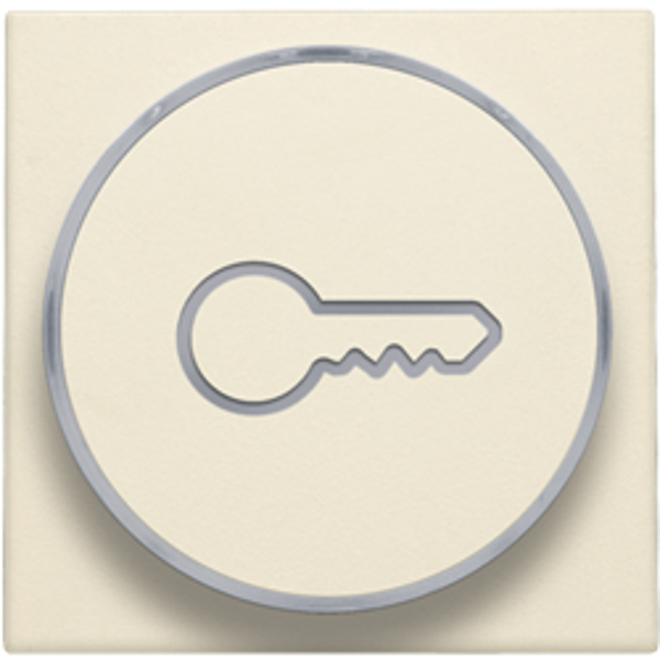 Niko 100-64009 Afwerkingsset met doorschijnende ring met sleutelsymbool voor drukknop 6A met amberkleurige led met E10-lampvoet cream