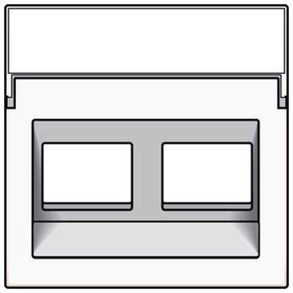 Niko Hydro Centraalplaat 2x RJ45 STP cat.6, schuin, met doorzichtig tekstveld wit  101-65400