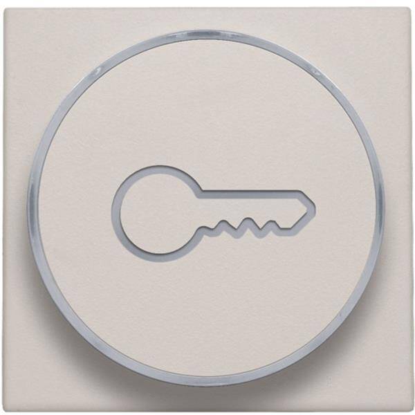 NIKO Toets met doorschijnende ring en sleutelsymbool voor drukknop 6A lichtgrijs 102-64009