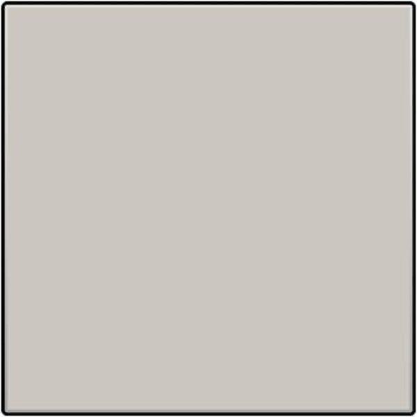 Niko Intense lichtgrijs blindplaat 102-76901