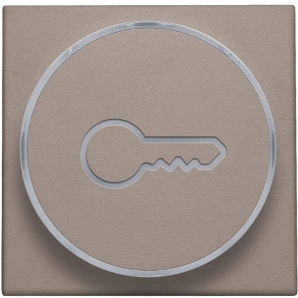 NIKO Toets met doorschijnende ring en sleutelsymbool voor drukknop 6A greige 104-64009