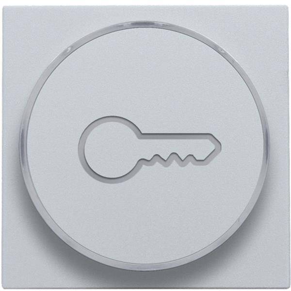 Niko Toets met doorschijnende ring en sleutelsymbool voor drukknop 6A sterling 121-64009
