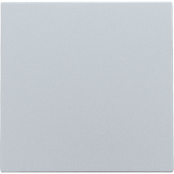 Niko blinde afsluitplaat Sterling 121-76901