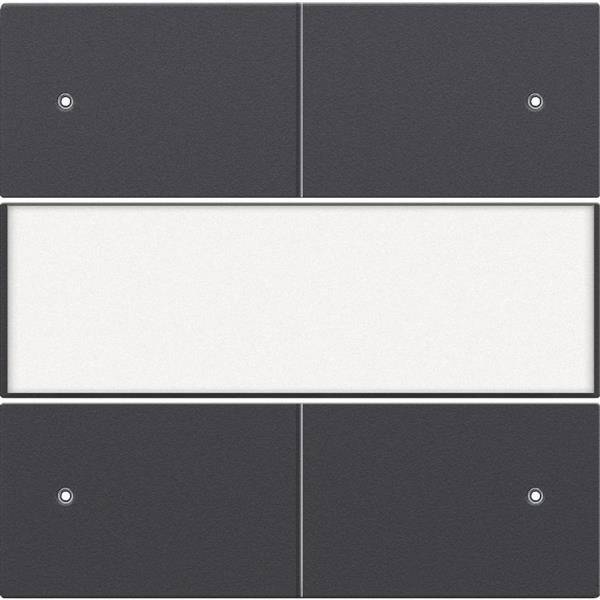 NIKO Toets lens + tekstveld voor drukknop 24V 4-voudig potentiaalvrij antraciet 122-40350