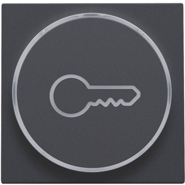 NIKO Toets met doorschijnende ring en sleutelsymbool voor drukknop 6A antraciet 122-64009