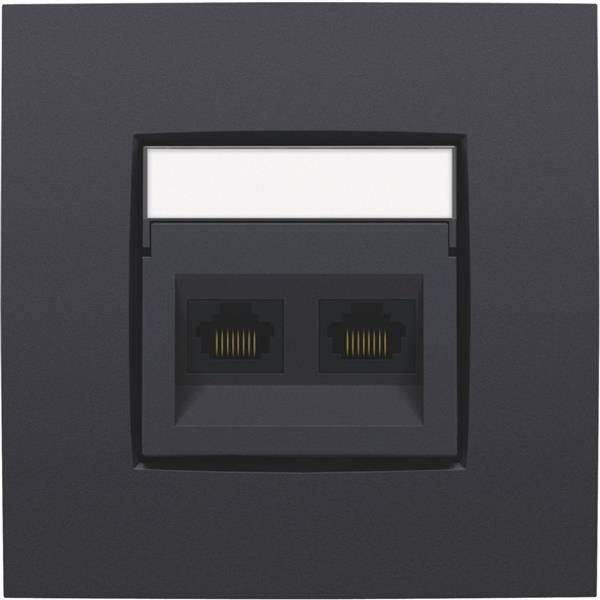 NIKO Centraalplaat 2x RJ45 STP cat.6 schuin met doorzichtig tekstveld antraciet 122-65400