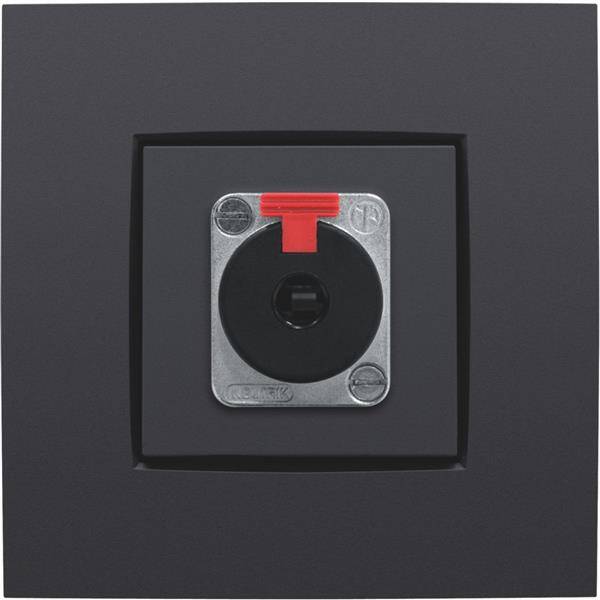 NIKO Centraalplaat voor XLR/JACK-aansluiting antraciet  122-69856