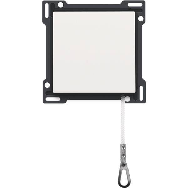 Niko Centraalplaat voor trekschakelaar 16A 250V AC, white steel 154-63606