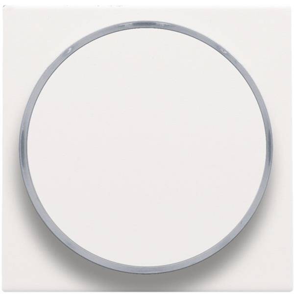 Niko Toets met doorschijnende ring voor drukknop 6A white steel 154-64006