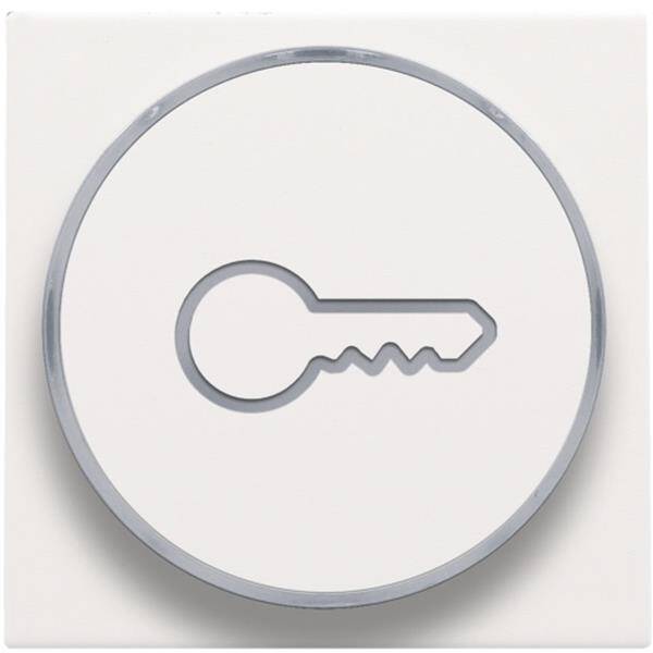 Niko Toets met doorschijnende ring en sleutelsymbool voor drukknop 6A white steel 154-64009