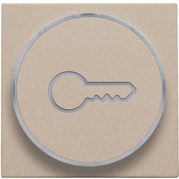 Niko Toets met doorschijnende ring en sleutelsymbool voor drukknop 6A champagne mat 157-64009