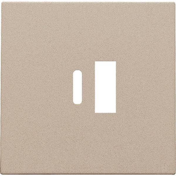 Niko Centraalplaat voor smart USB-A en USB-C-lader champagne 157-68002