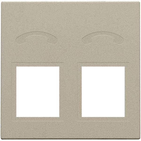 Niko Centraalplaat voor telefooncontactdoos 2x RJ11 champagne mat 157-69031