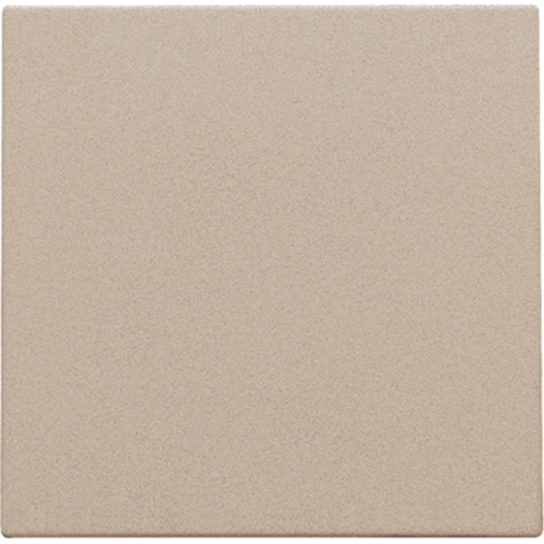 Niko 157-76901 blinde afsluitplaat Champagne