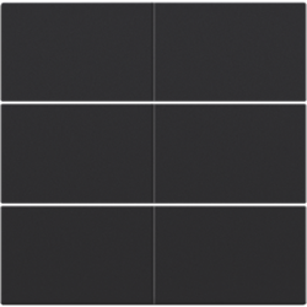 NIKO Centraalplaat voor 6-voudige potentiaalvrije drukknop 24 V black coated 161-60050