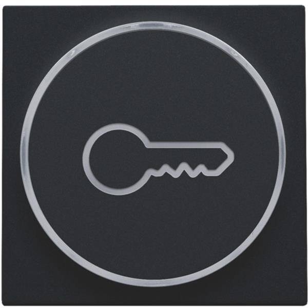 Niko Toets met doorschijnende ring en sleutelsymbool voor drukknop 6A zwart 161-64009