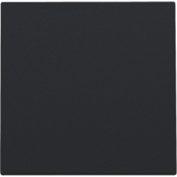 NIKO Centraalplaat voor blindplaat black coated 161-76901
