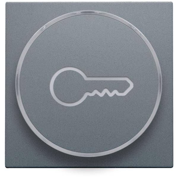 Niko Toets met ring met symbool sleutel voor drukknop 6A staalgrijs 220-64009