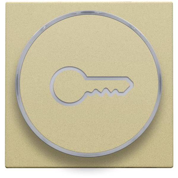 Niko Toets met ring met symbool sleutel voor drukknop 6A goud 221-64009