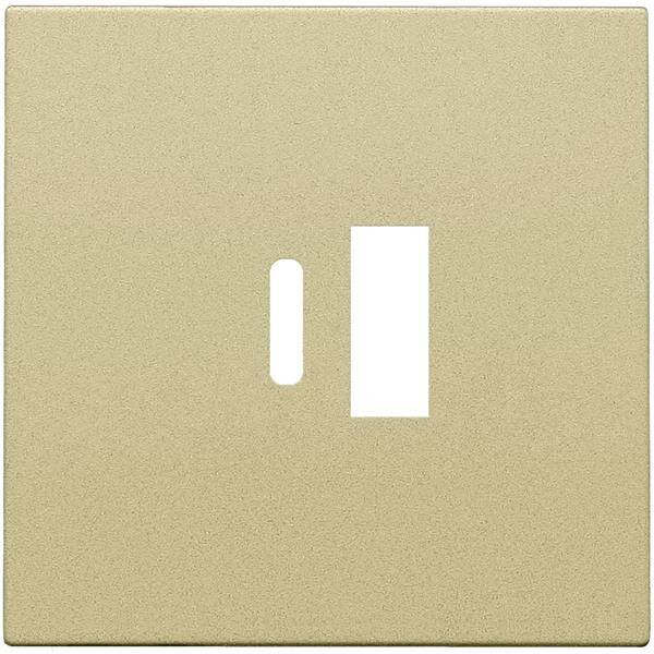 Niko Centraalplaat voor smart USB-A en USB-C-lader goud 221-68002