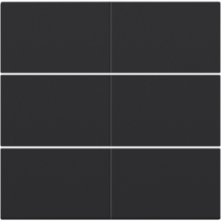 NIKO Centraalplaat voor 6-voudige potentiaalvrije drukknop 24 V black coated 161-60050